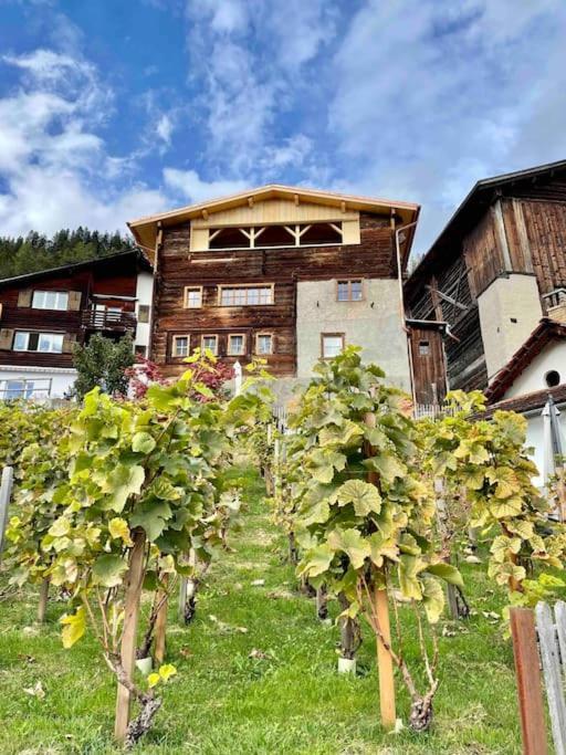 Swiss Chalet Near Flims Trin Dış mekan fotoğraf