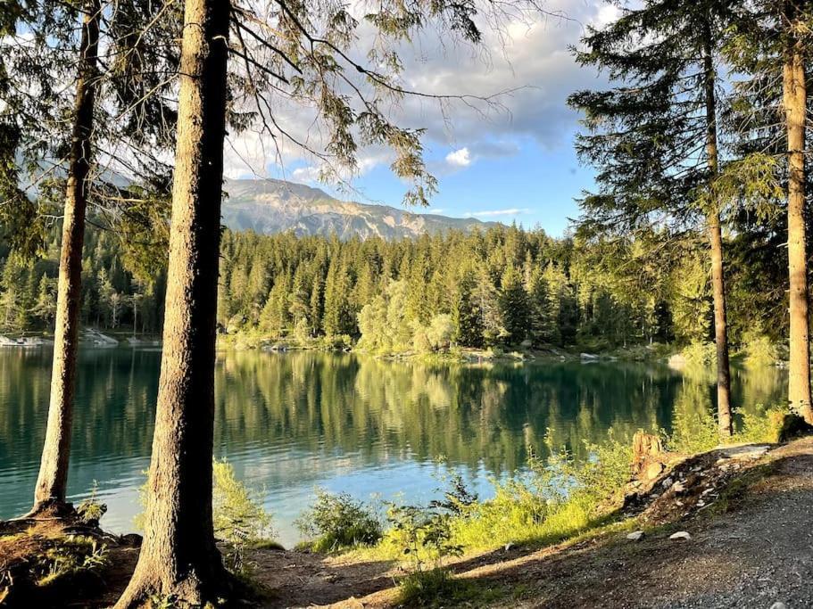 Swiss Chalet Near Flims Trin Dış mekan fotoğraf